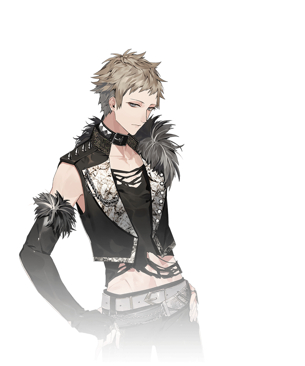 ブラスタ ラッフル その他 K 銀星 夜光 ソテツ ギィ 吉野 ブラック